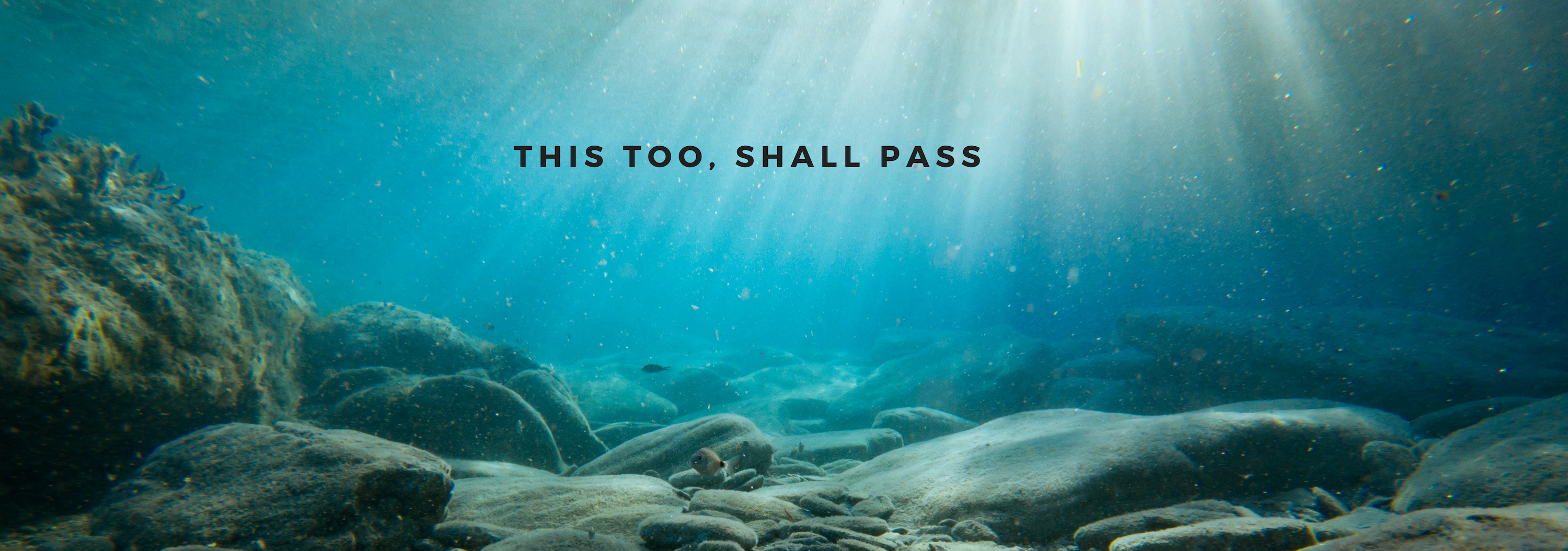 Footer Logo: CwellanSorg